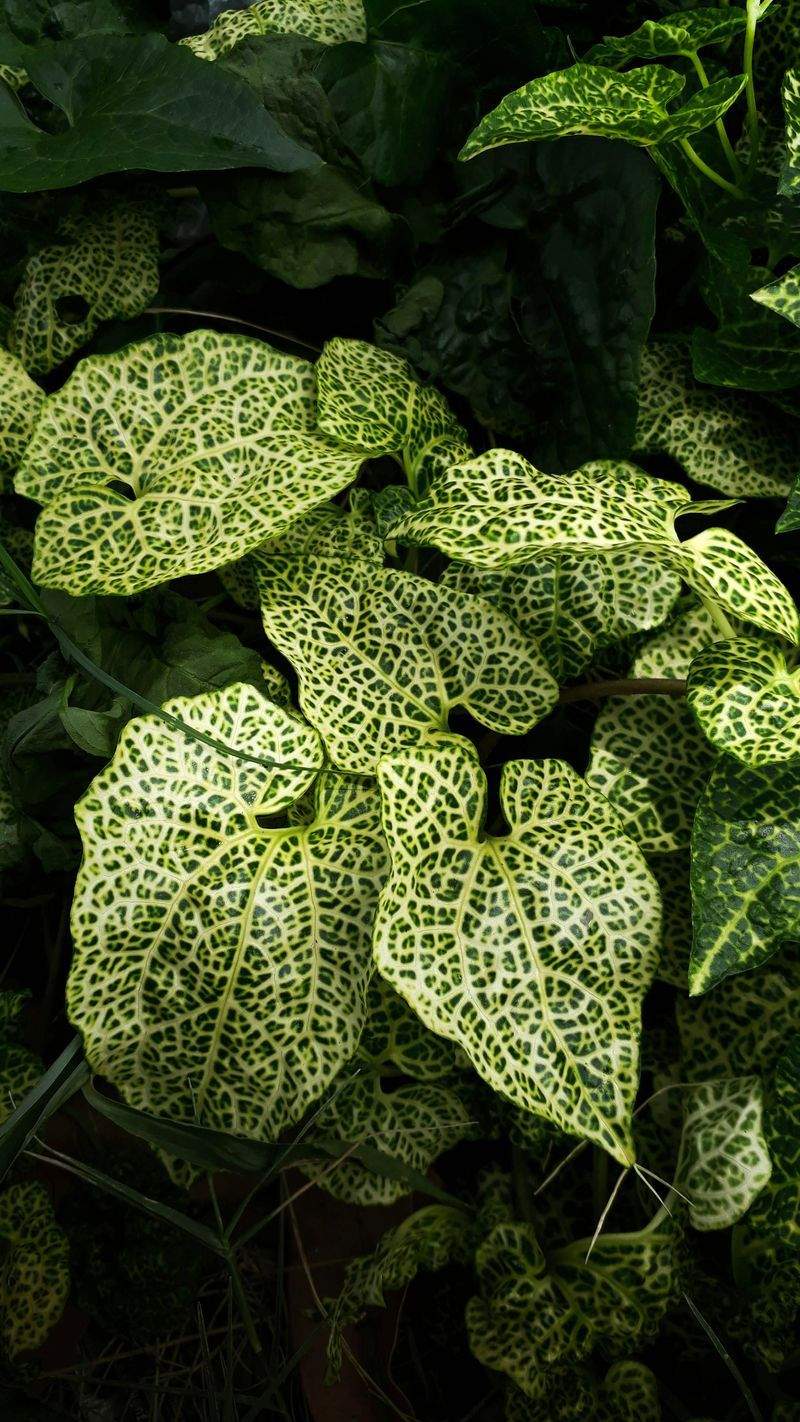 Grüne Oase GmbH - Image 12