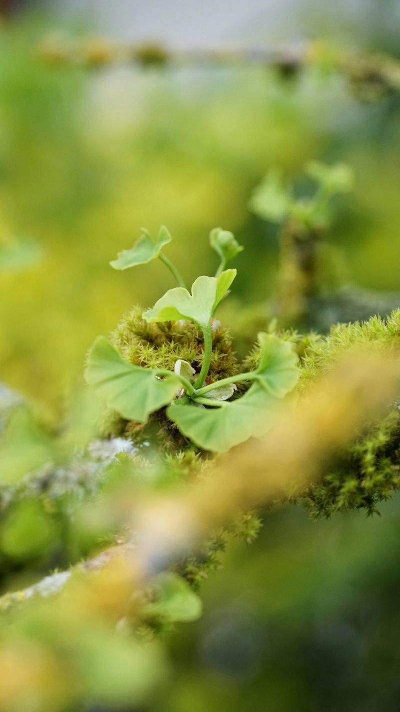 Grüne Oase GmbH - Image 5