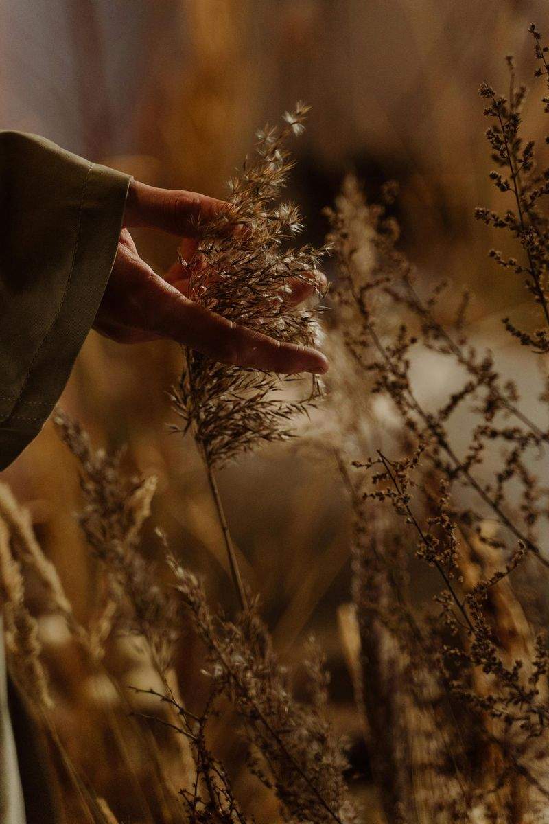 Grüne Oase GmbH - Image 7